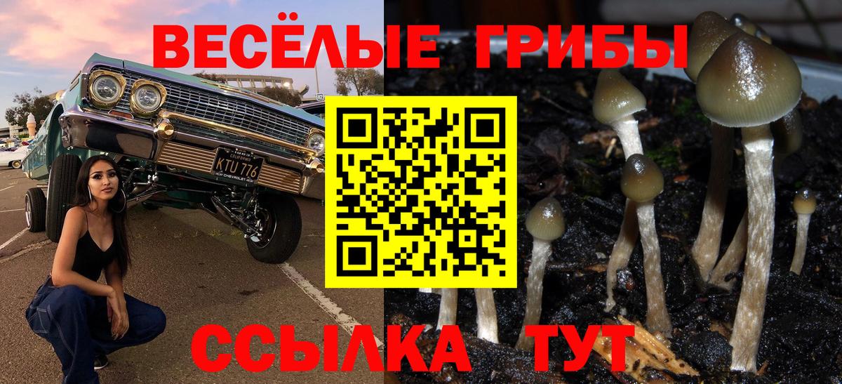 Россия  Псилоцибиновые грибы Cubensis  Псилоцибиновые грибы мухоморы  Вход с VPN 