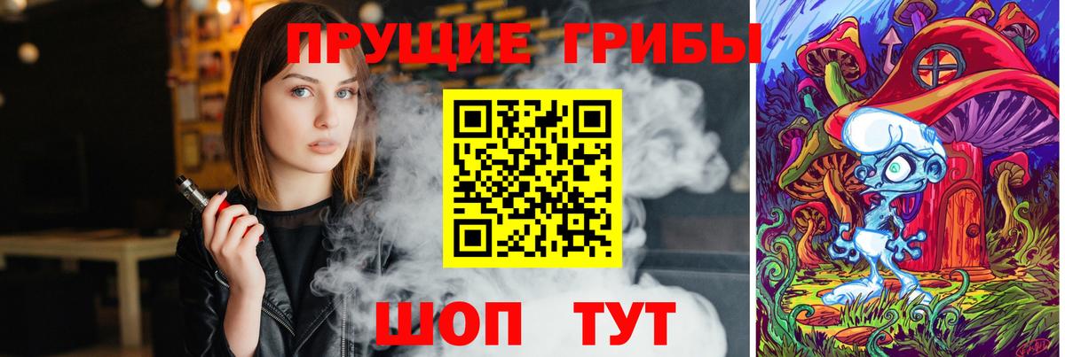Псилоцибиновые грибы Psilocybe Россия
